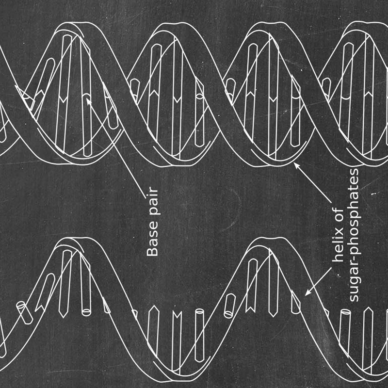 DNA Patent Wall Art Genetics P – Star Map Poster recenzja i cena