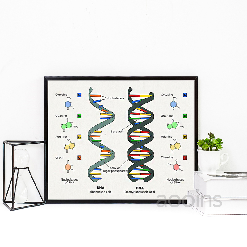 DNA Patent Wall Art Genetics P – Star Map Poster recenzja i cena